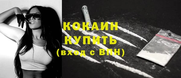 стаф Абинск