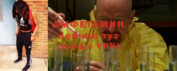 стаф Абинск