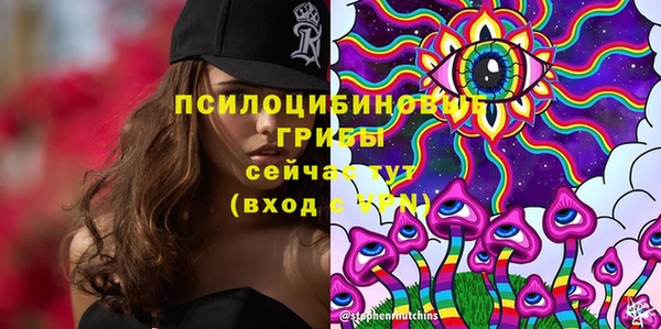 стаф Абинск
