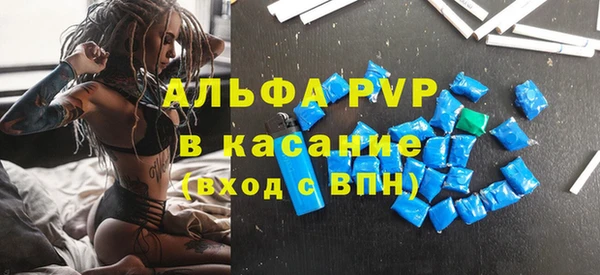 стаф Абинск