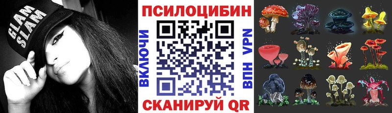 Псилоцибиновые грибы Psilocybe Грозный