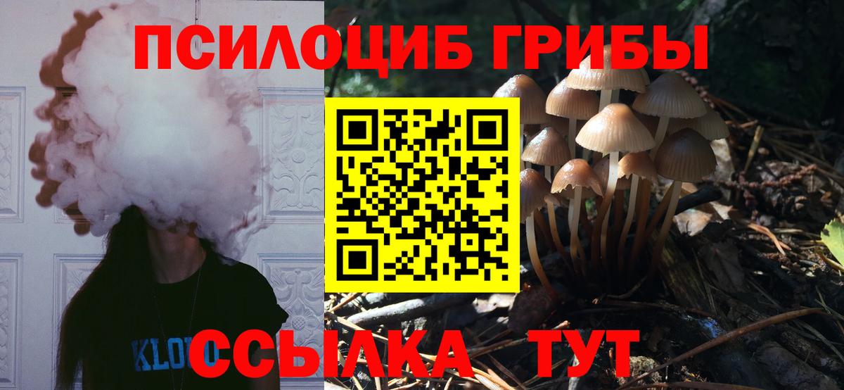 купить  цена  Галлюциногенные грибы Psilocybine cubensis  Псилоцибиновые грибы Psilocybe  Вход с VPN  Грозный 